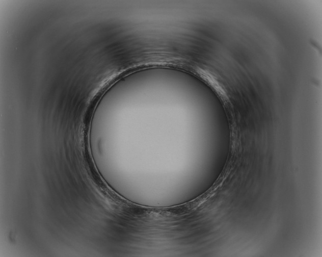 X0000092000346200709061244