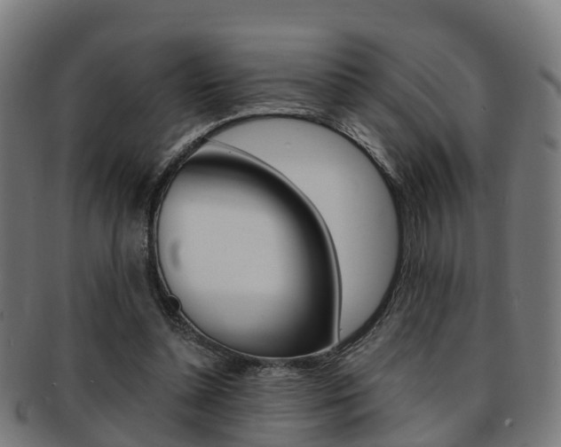 X0000092000348200709061245