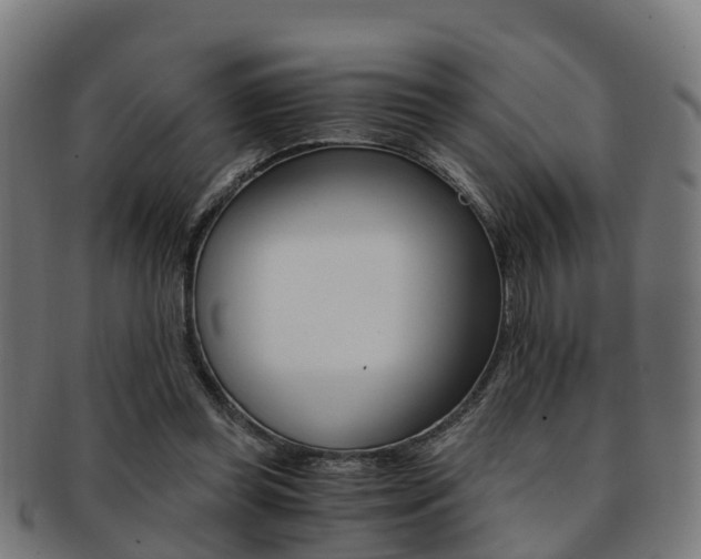 X0000092000349200709061245