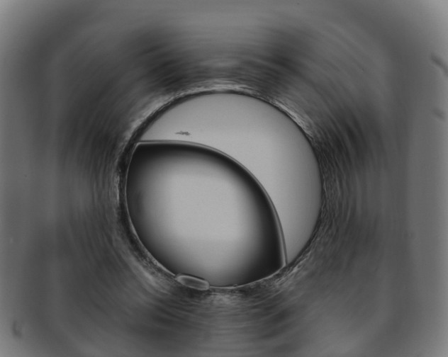 X0000092000350200709061245