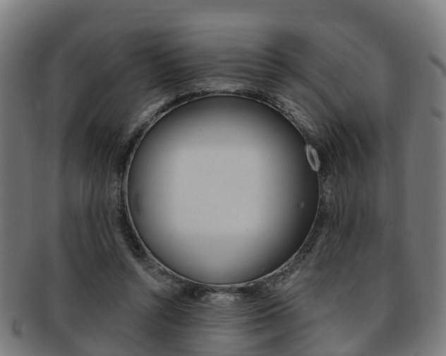 X0000092000352200709061245