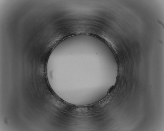 X0000092000353200709061245
