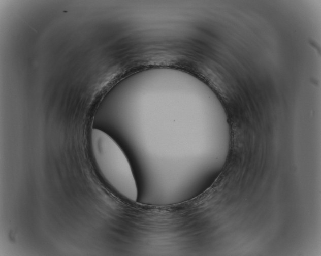 X0000092000354200709061245