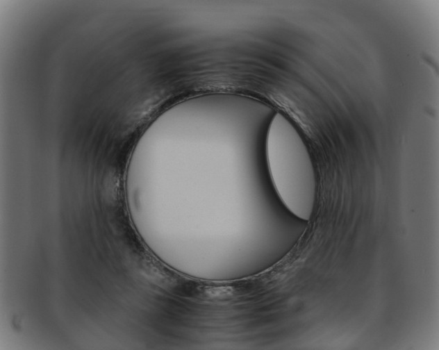X0000092000355200709061245