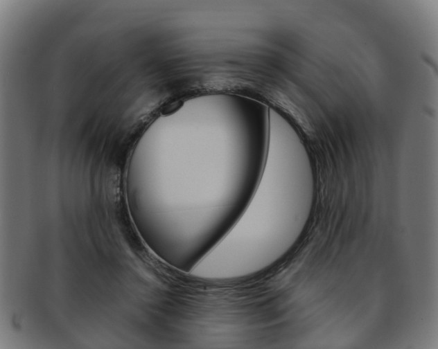 X0000092000356200709061245
