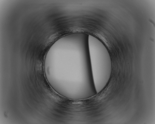 X0000092000357200709061245