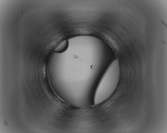 X0000092000358200709061245