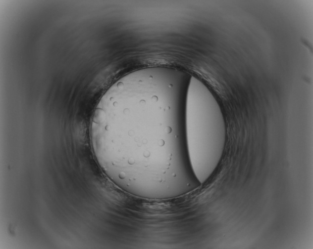 X0000092000359200709061245