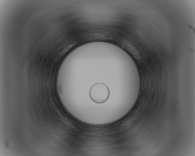 X0000092000360200709061245