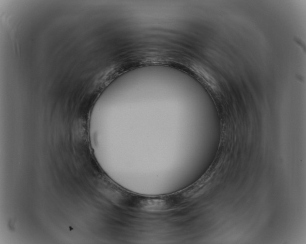 X0000092000361200709061245