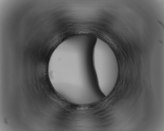 X0000092000362200709061245