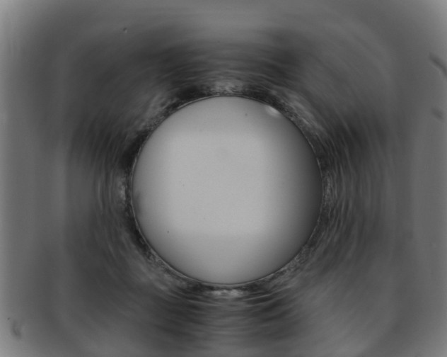 X0000092000363200709061245