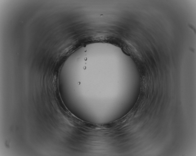 X0000092000364200709061245
