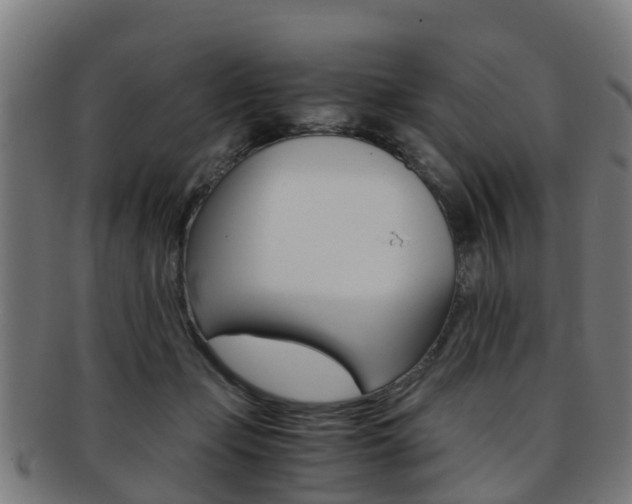 X0000092000365200709061245