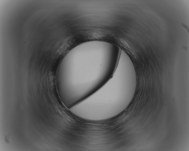 X0000092000366200709061245