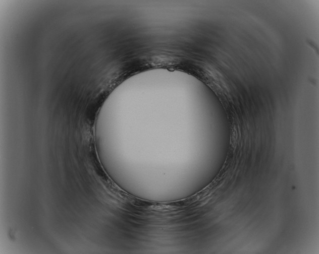 X0000092000367200709061245