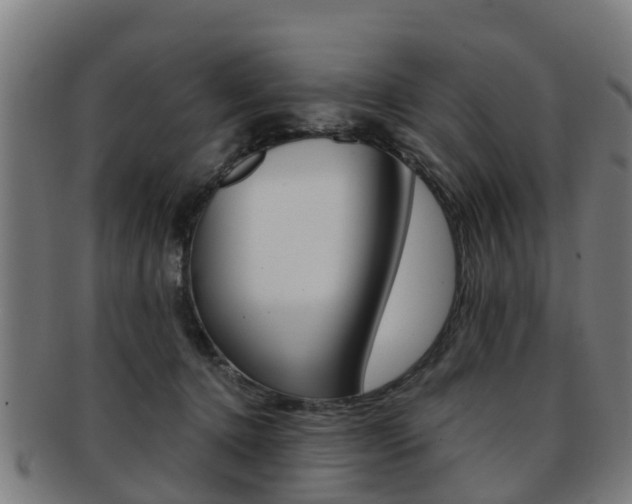 X0000092000368200709061245