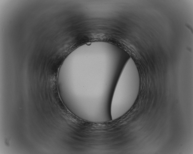 X0000092000369200709061245