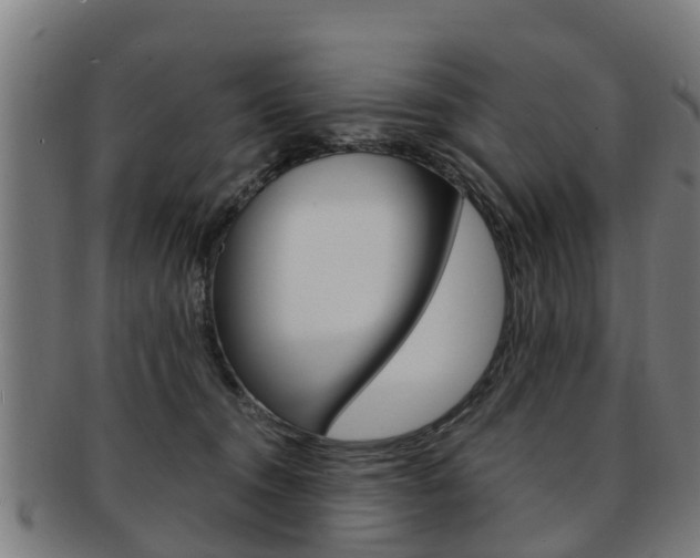 X0000092000372200709061245