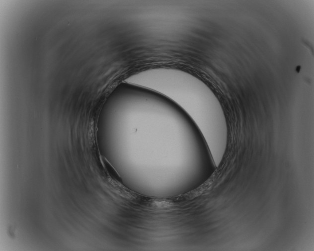 X0000092000376200709061245