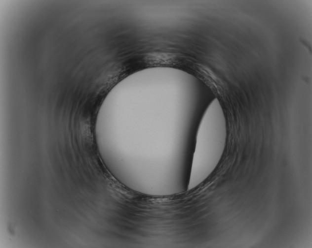 X0000092000377200709061245