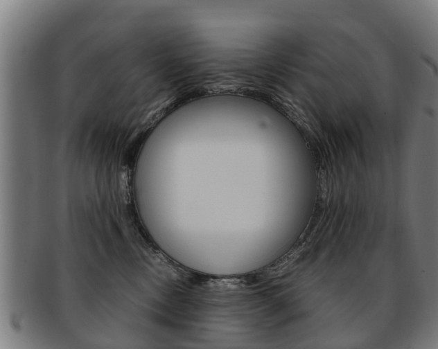 X0000092000378200709061245