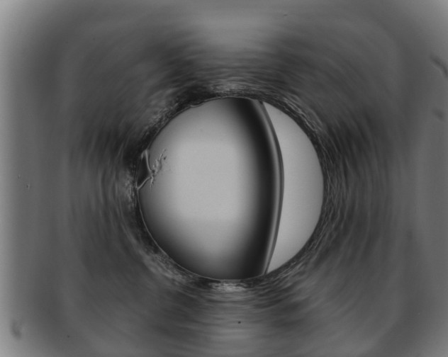 X0000092000380200709061245