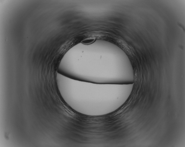 X0000092000381200709061245