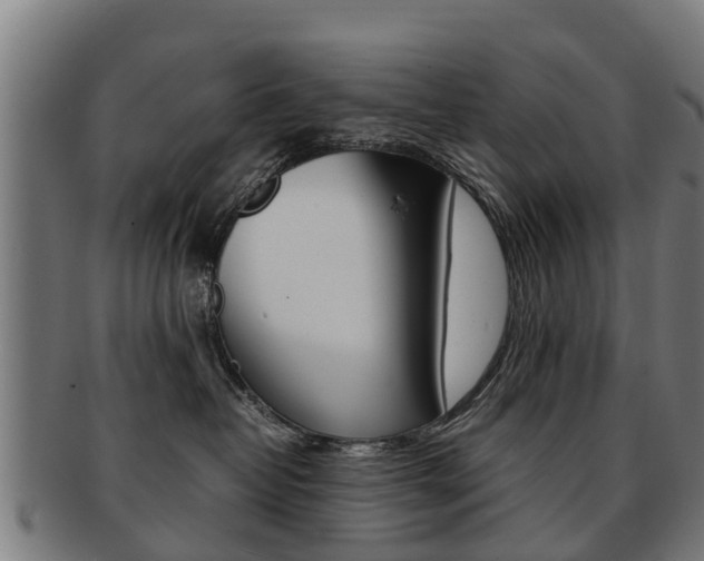 X0000092000382200709061245