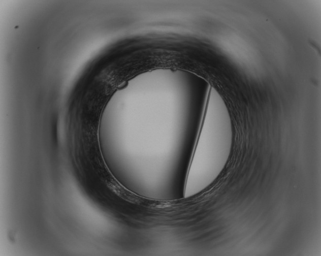 X0000092000383200709061245