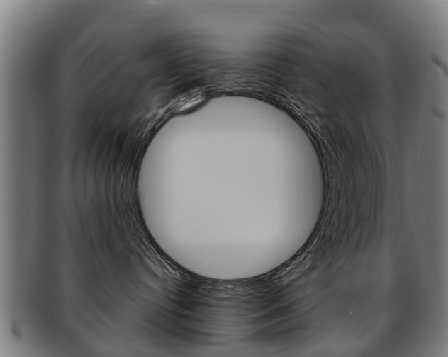 X0000092000384200709061245