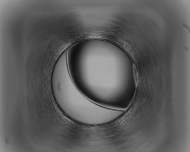 X0000092000385200709061244