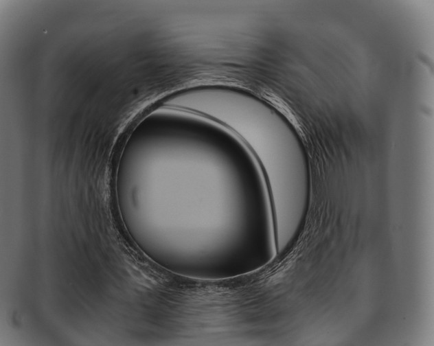 X0000092000387200709061244
