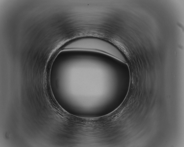 X0000092000388200709061244