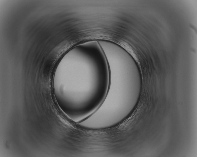 X0000092000389200709061244