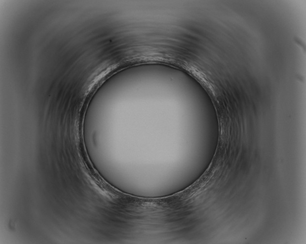 X0000092000390200709061244