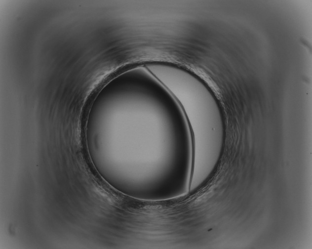 X0000092000391200709061244
