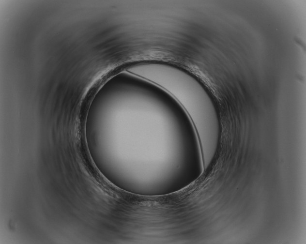 X0000092000392200709061244