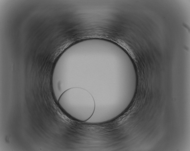 X0000092000393200709061244