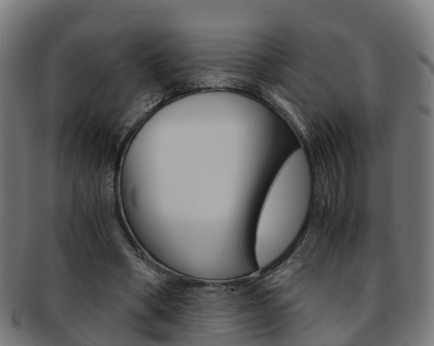 X0000092000394200709061244