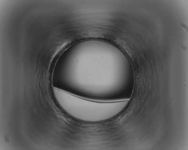 X0000092000395200709061244