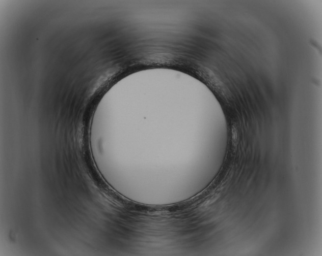 X0000092000396200709061244