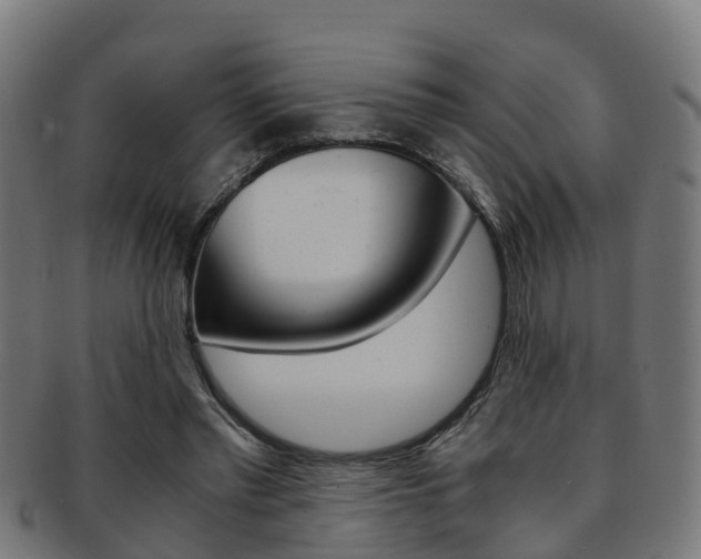X0000092000397200709061244