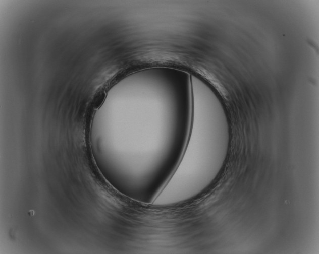 X0000092000399200709061244