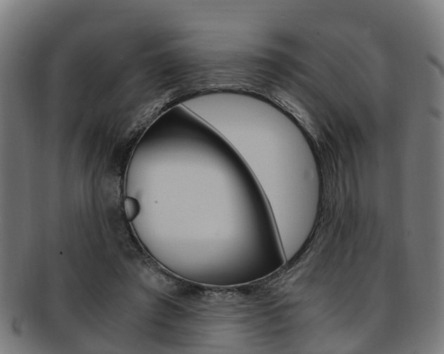 X0000092000401200709061244