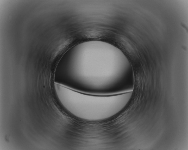 X0000092000404200709061244