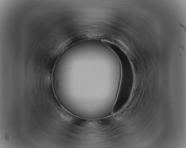 X0000092000405200709061244