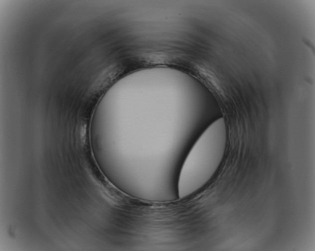 X0000092000406200709061244
