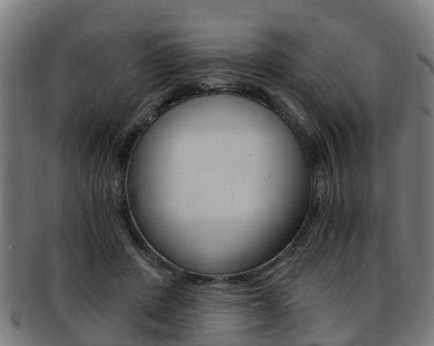 X0000092000408200709061244