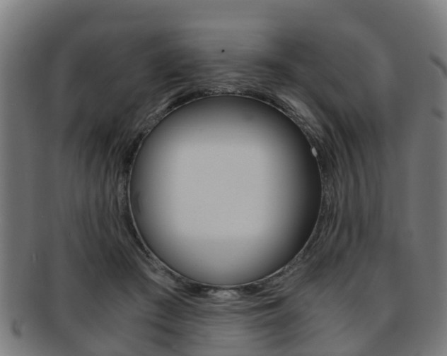 X0000092000409200709061244